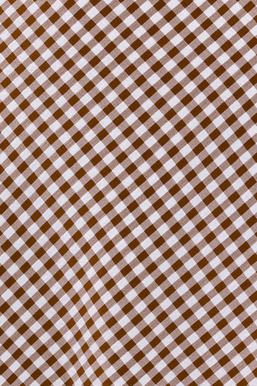 Alandra Check Skirt